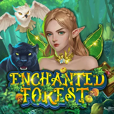 Enchanted Forest