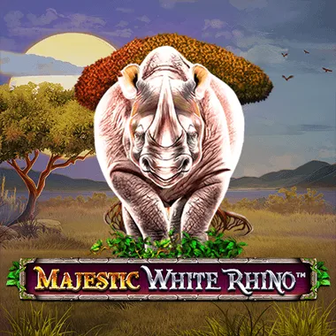 Majestic White Rhino